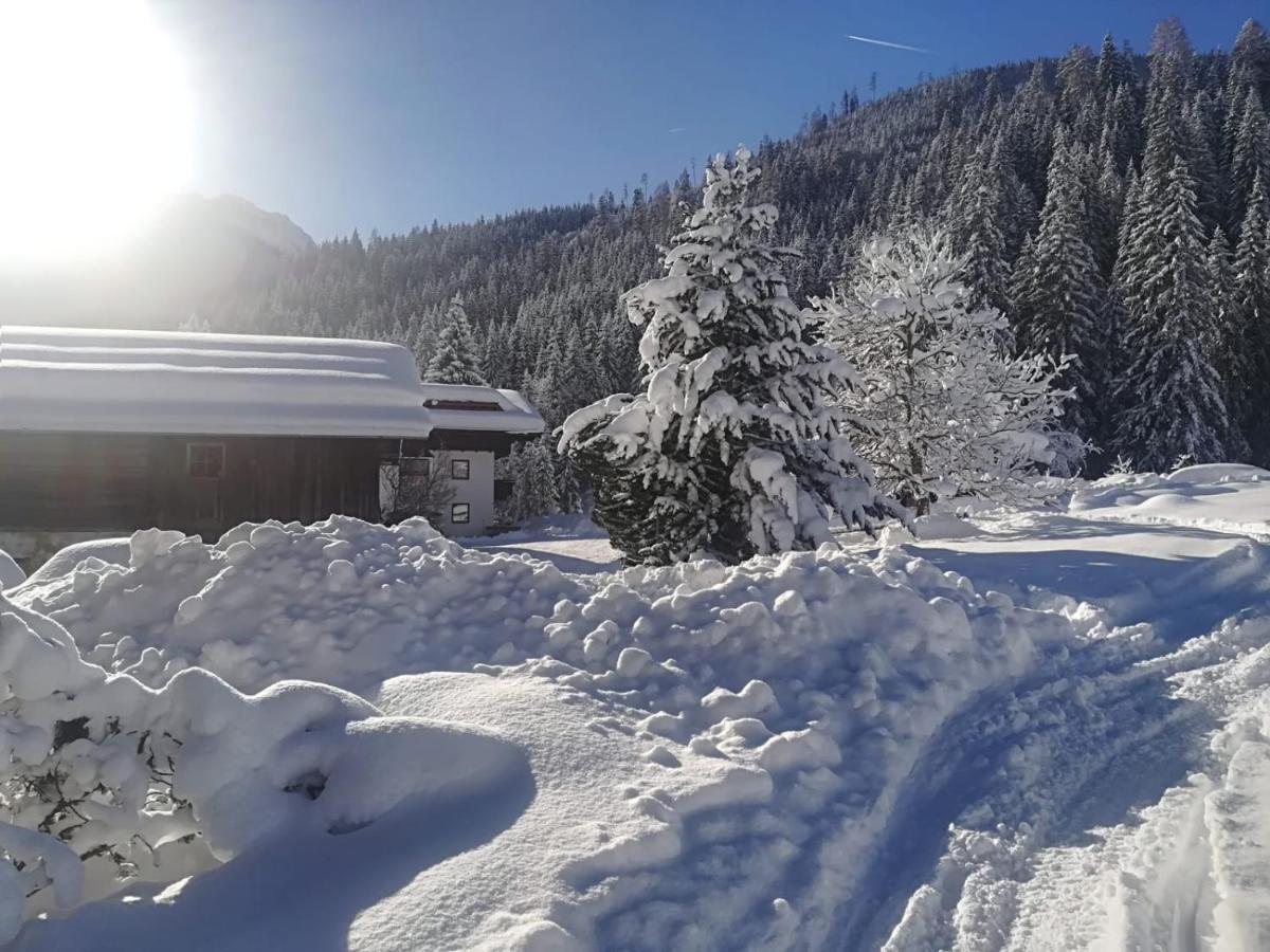 Walchauhof Hotel Flachau Exterior photo